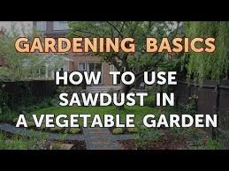 If you are thinking of using sawdust, keep in mind that larger size pieces will break down (decompose) much slower. How To Use Sawdust In A Vegetable Garden Youtube