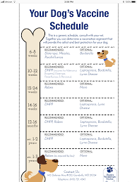 Why do puppies need to get shots? Dog Shot Schedule Puppy Schedule Dog Shots Puppy Shot Schedule