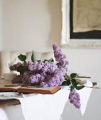 The Meaning Of Feng Shui Flowers Lilac Flower Bouquet Wedding Pretty Flowers
