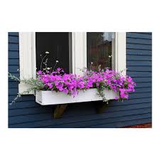 50608 a versatile easel that\'s ideal for painting or display.there are 8495 wood flower box for sale on etsy, and they cost $36. Photography Of Purple Flowers Window Box By Josh Moulton Chairish