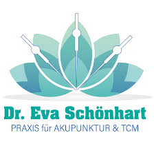 Akupunktur Anwendungsgebiete Fragen Antworten Dr Eva Schonhart