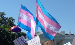 Hurting trans children, wolfe wrote on facebook on march 25, 2020, along with a link to a pinknews story about the trump administration's stance on transgender girls in female athletics. Trans Teenagers Fear Alabama Push To Outlaw Gender Affirming Treatment Pbs Newshour