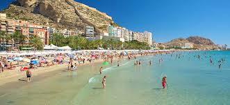 4 أراضي فلاحية بها أشجار مثمرة للبيع رقم 1 مساحتها quatier : Vivre A Alicante Immobilier Alicante