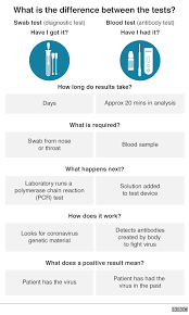 Coronavirus Antibody Test Lacks Proper Assessment Bbc News