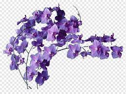 Violet png & psd images with full transparency. Cut Flowers Violet Flower Bouquet Floral Design Flower Purple Violet Flower Png Pngwing