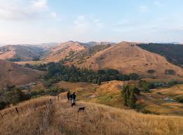 Our Story — wilencote