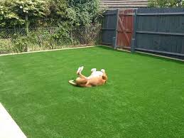 It won't grow and 2. Artificial Grass Fake Grass Synthetic Grass Eastbourne
