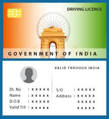 Pin On Apply For Voter Id Card Online
