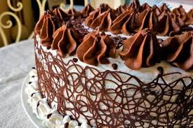 Sponge Cake Al Cacao Con Camy Cream E Decorazioni Al Cioccolato Fidelity Cucina Decorazioni Cioccolato Cioccolato Ricette Pan Di Spagna