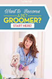$12.75/hr post a job for free today! Where To Begin Your Career As A Pet Groomer Top Dog Tips