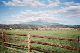 How a road trip helped me find a new sense of self after dealing with  illness and pain - Roadtrippers