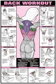Back Workout Poster Laminated Fitness Exercise Workout