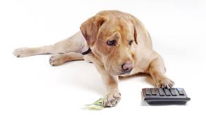 Specialized services, such as dental cleanings and spay/neuter services, can cost up to $400. How Much Does It Cost To Own A Dog In Chicago Windy City Paws