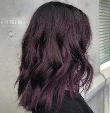 Subtle Black Purple Hair Hair Color Burgundy Medium Black Hair Burgundy Hair