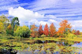Use them in commercial designs under lifetime, perpetual & worldwide rights. Scenic Landscape Autumn Free Photo On Pixabay