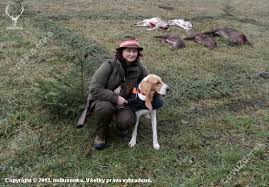 Image result for švycký honič