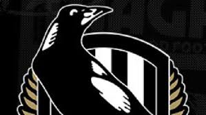 Logo used as of 1 june 2013. Collingwood Introduces New Logo For 2018 As It Hopes Redesign Can Do What It Did For Other Clubs Perthnow