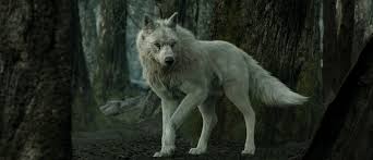 13 Seriously Real Wildlife Renders Life In 3d Area By Autodesk Fantasy Wolf Wolf Art Wolf Artwork