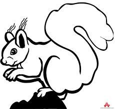 We did not find results for: Squirrel Black And White Squirrel Outline Drawing In Black And White Free Clipart Design Wikiclipart