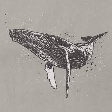Download 3,412 humpback whale stock illustrations, vectors & clipart for free or amazingly low rates! Humpback Whale Drawing Ai Illustrator File Us 5 00 Each Ai Png File