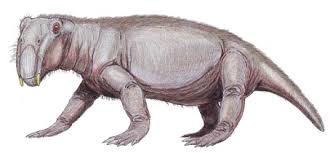 Die Zeit Der Dinosaurier Okosystem Erde In welchen erdzeitaltern haben welche entwicklungen für pflanzen und tiere stattgefunden?