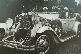 We did not find results for: Indian Princes And Their Rolls Royce Obsession Homegrown