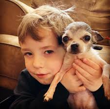 Across the bridge you've gone, yet your love continues to shine in my life  like the sun through the clouds. 🐾️❤️🥺