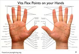 Acupressure Points Chart Pdf Www Bedowntowndaytona Com