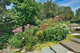 Shade plants are your friends when it comes to landscaping under trees. Designing An Organic Pollinator Garden Tips From A Landscape Ecologist Fairfield County Ct Green Jay Landscaping
