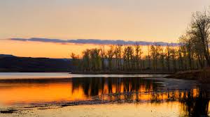 Complexul hotelier ciric va propune 3 restaurante speciale. PÄƒdurea Ciric Zona De Agrement Ciric Lacul VeneÈ›ia Tikki Village