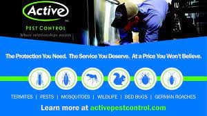 Active family team member for 4. Active Pest Control 1167 Highway 54 E Fayetteville Ga Pest Control Mapquest