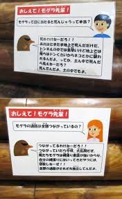 死ぬわけねーだろ 子どもの質問に毒舌をかます多摩動物公園の解説キャラ モグラ先輩 が笑えるww irorio イロリオ すき pinterest