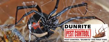 Monthly pest control may be necessary to permanently solve recurring infestations with pests such as ants and cockroaches. Dunrite Pest Control Port Macquarie Coffs Harbour Pest Control