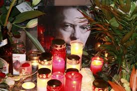 374 David Star Flowers Stock Photos