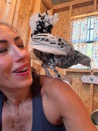 Introduction and photo with chicken owner