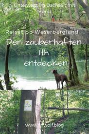 Pin Auf Ausfluge Mit Hund