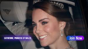 Do you really want her to become the Queen 👑 of England 🇬🇧