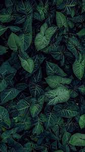 Pin On Hd Wallpapers