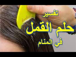 حكومة البرد تضيء حلمت اني مشطت شعري اشعر اللي نزل كله قمل يمشي findlocal drivewayrepair com