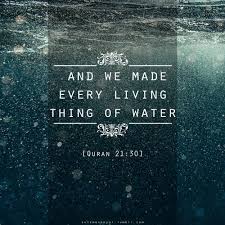 وجعلنا من الماء كل شيء حي English