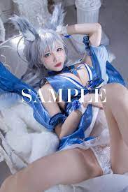 Amazon.co.jp: 水5 585枚 コスプレROM写真集 画像まとめ アニメ アズールレーン 信濃 赤城 大鳳 チャパエフ ルイ9世 巨乳  かわいい 着エロ セクシー : ホビー