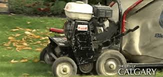 Browse now explore power equipment. Dethatching Your Lawn Yard Busters Landscaping