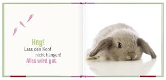 Kopf hoch sprüche als bild zum posten. Kopf Hoch Halt Die Ohren Steif Amazon De Lechner Klara Sophie Bucher