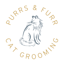 Grooming cats is all i do. Professionally Trained Cat Grooming In Gosforth Newcastle