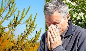 Hay Fever In March Is A Real Blow Essex London Ent