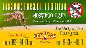 We did not find results for: Precision Lawn Care Llc Lawn Care