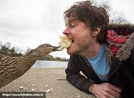 Çektiği Selfielerle İmrenilen Adam Allan Dixon