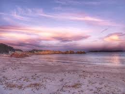 ️ the island of budelli, idyllically located between corsica and sardinia, famous for its pink sand beach. Italiener Verlasst Nach 32 Jahren Einsame Insel Budelli Travelbook