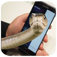 Snake on phone screen to prank your friends, add snakes to your photos to become shiva the hindu deity, have snakes on nice backgrounds like desert background. Snake On Screen Prank And Hissing Joke 2017 Apk 1 0 Download Apk Latest Version