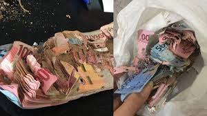 Nanti ada bendera berukuran besar di patung kuda, kata ketua panitia pelaksana syukuran inaugurasi presiden dan wakil presiden ri, andi gani nena wea di jakarta, sabtu, 19 oktober 2019. Viral Gadis Temukan Uang Simpanan Almarhum Nenek Dimakan Rayap Padahal Sudah Ngumpul Rp 10 Juta Tribunnews Com Mobile